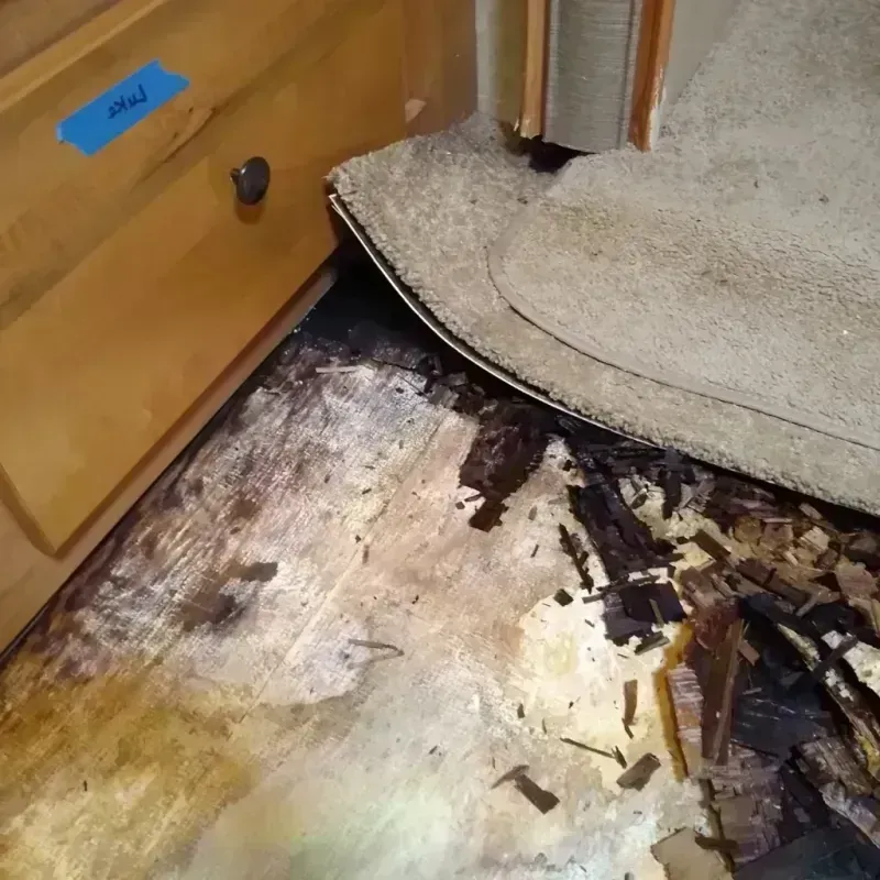 Best Wood Floor Water Damage Service in Issaquena County, MS